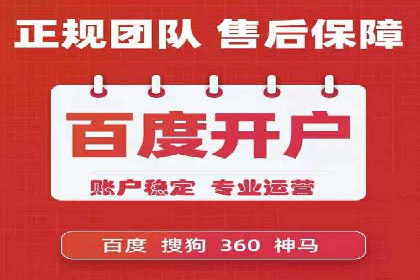托管竞价sem案例分享：某电商平台的成功之路
