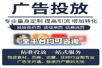 SEM推广实战：案例分析及效果评估